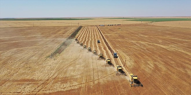 5 Binden Fazla Çalışanla Dev Tarım Sayımı Seferberliği