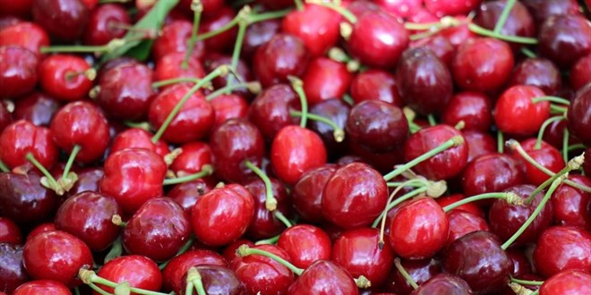 745 TL’ye satılan kirazın üretici fiyatının 40 TL olduğu ortaya çıktı