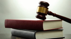 Yeni anayasada söz vatandaşın