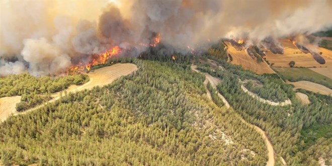 Adana’da orman yangını denetim altında: 6 gözaltı
