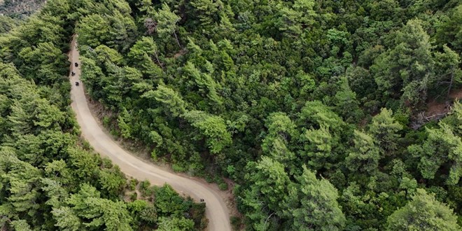 Bolu’da ormanlık alanlara giriş yasağı