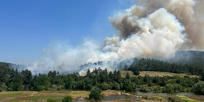 Bursa’da anızda başlayıp ormana sıçrayan yangın denetim altında