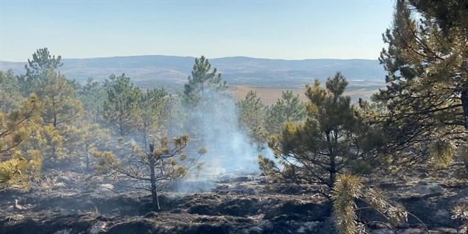 Çorum’da ‘yangın’ önlemi: Ormanlar girişler 31 Ekim’e kadar yasak