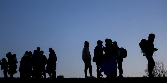 Göçmen kaçakçılığına büyük darbe: 446 sistemsiz göçmen yakalandı