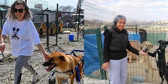 Hayvanları Muhafaza Maskesiyle Dolandırıcılık! Milyonlar Buhar Oldu