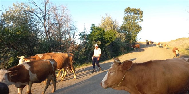 Her şey dahil bu işi kabul eden yok! Maaşları 100 bini aştı