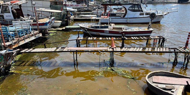 İzmit Körfezi’nde deniz kıyısı kahverengiye döndü