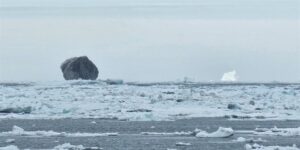 Kanada’da Görülen Siyah Buzdağı Bilim İnsanlarını Şaşırttı