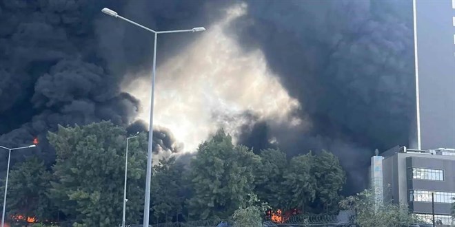 Kaynak kıvılcımıyla orman yandı: 1 tutuklama