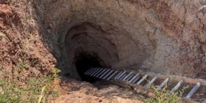 Kazdıkları yerde suçüstü yakalandılar!