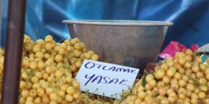 Kiraz Şenliği’nde tezgahlardaki ‘otlamak yasaktır’ yazısı reaksiyon çekti