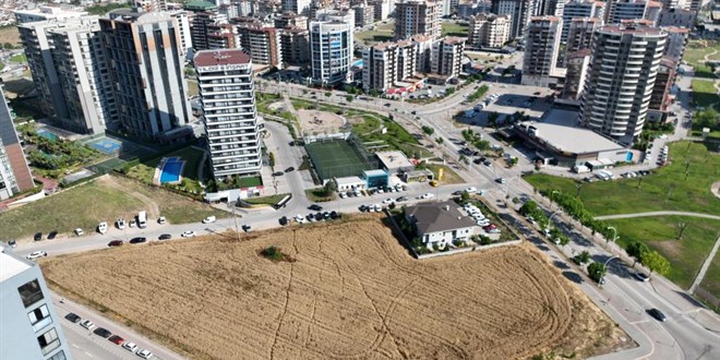 Milyon dolarlık lüks gökdelenlerin ortasında buğday hasadı