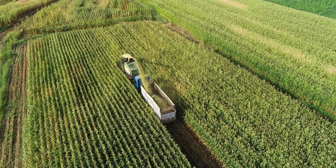 Tarım ÜFE mayısta arttı