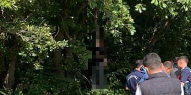 Uzman jandarma ormanda meyyit bulundu